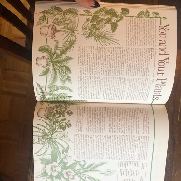 House plant care book - Picture 3 of 4